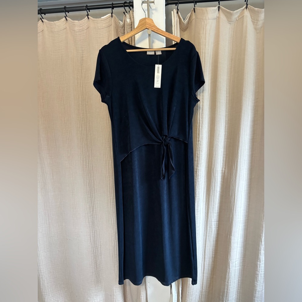 NWT Chicos Travelers Maxi Dress- 2P (12)